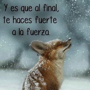 Meet your Posher, Berty